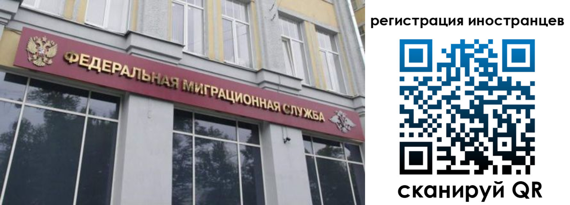 пропишу в квартире в Павловском Посаде